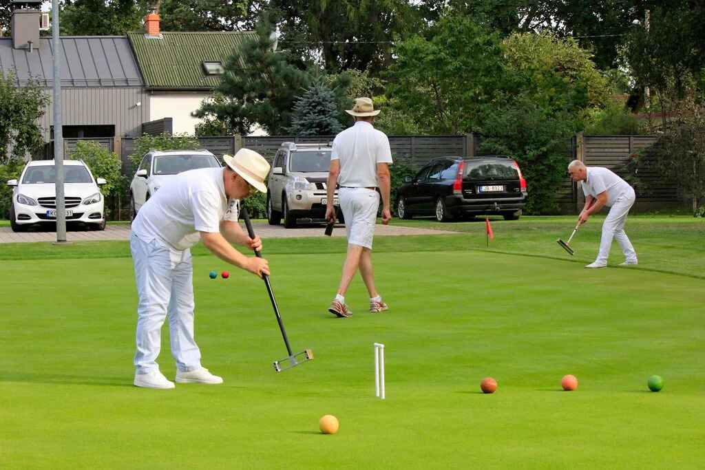 Croquet Game