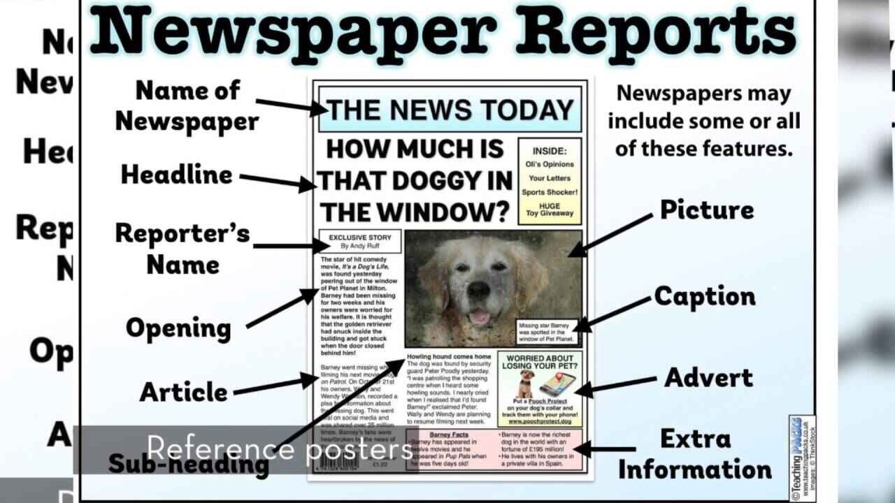 News Report