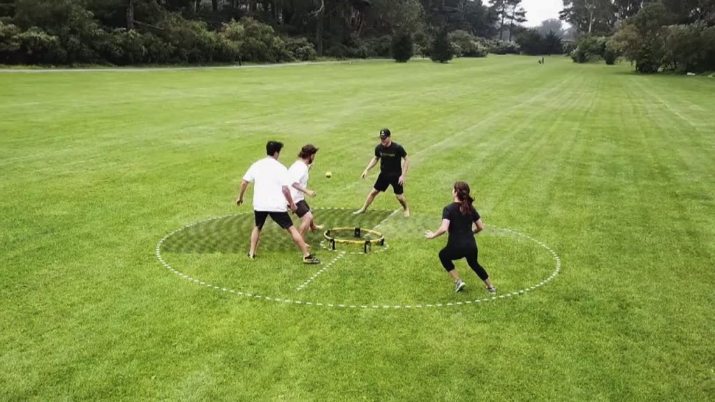 Spikeball Net