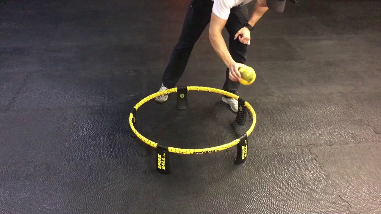 Spikeball Net