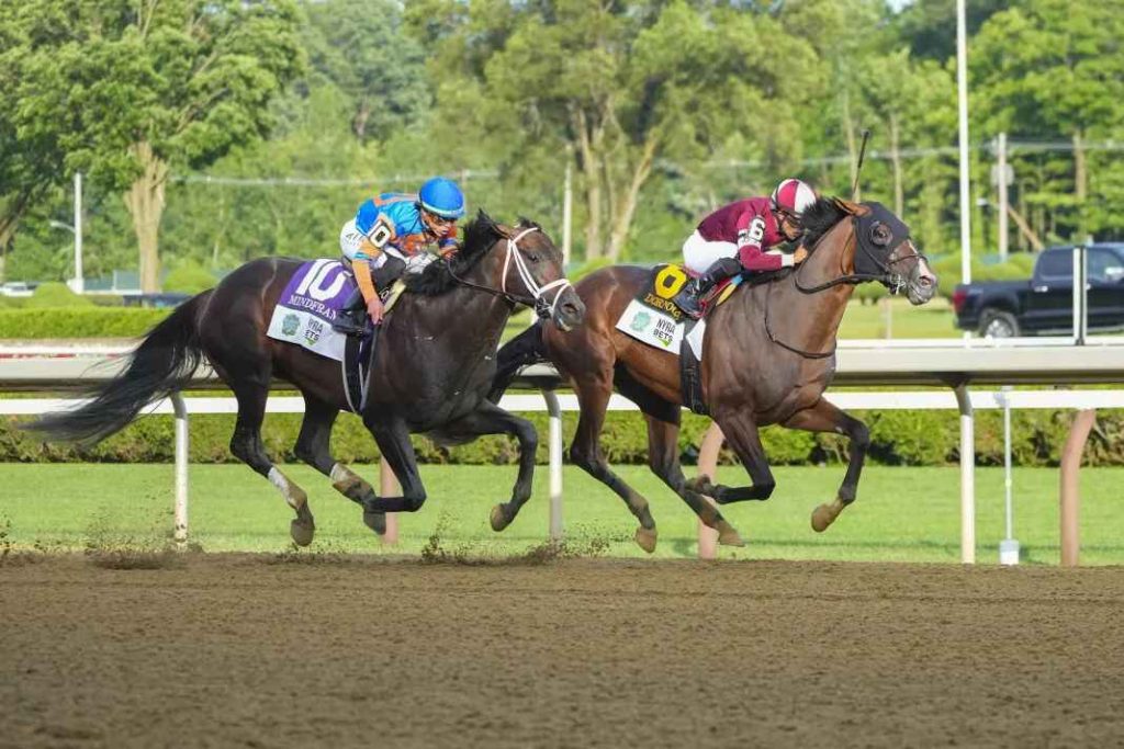 Saratoga Race