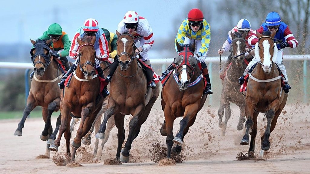 Horse Racing