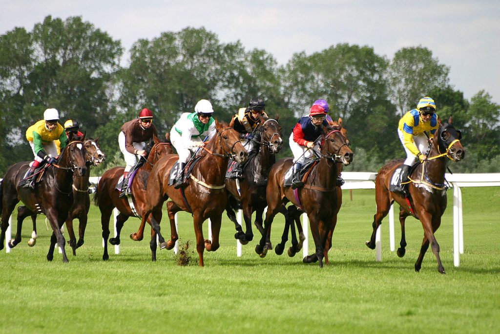 Prompter In Horse Racing