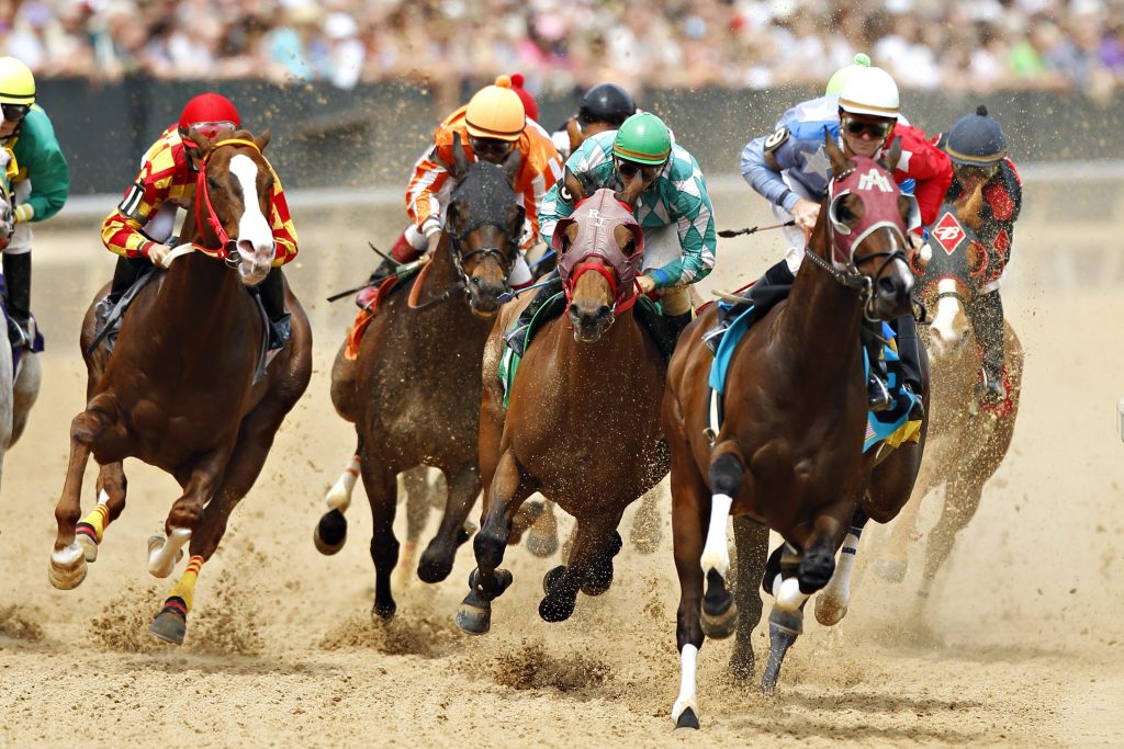 Pleasanton Fairgrounds Horse Racing
