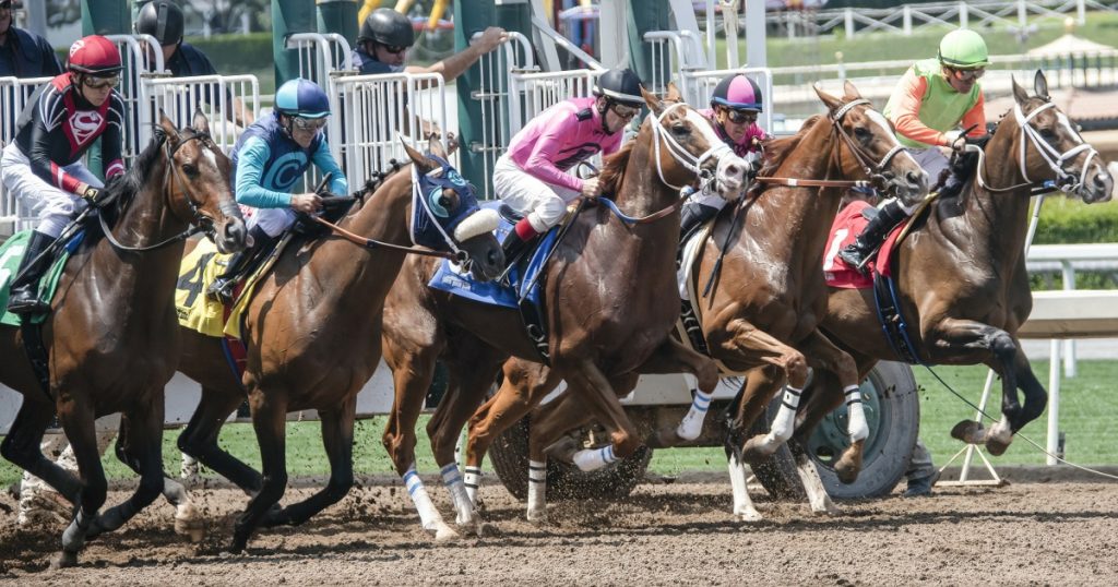 Pleasanton Fairgrounds Horse Racing
