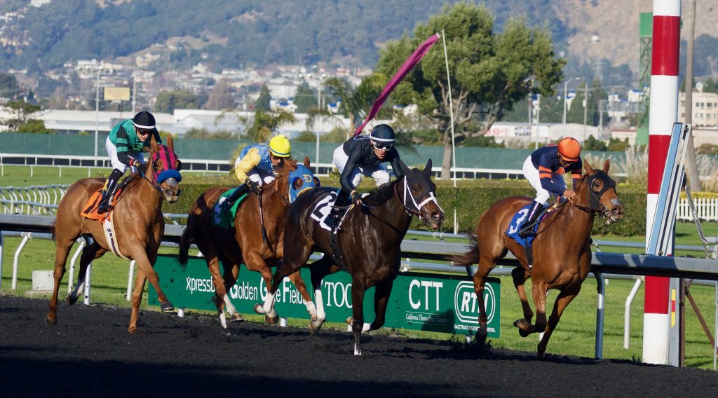 Horse Racing In New Mexico