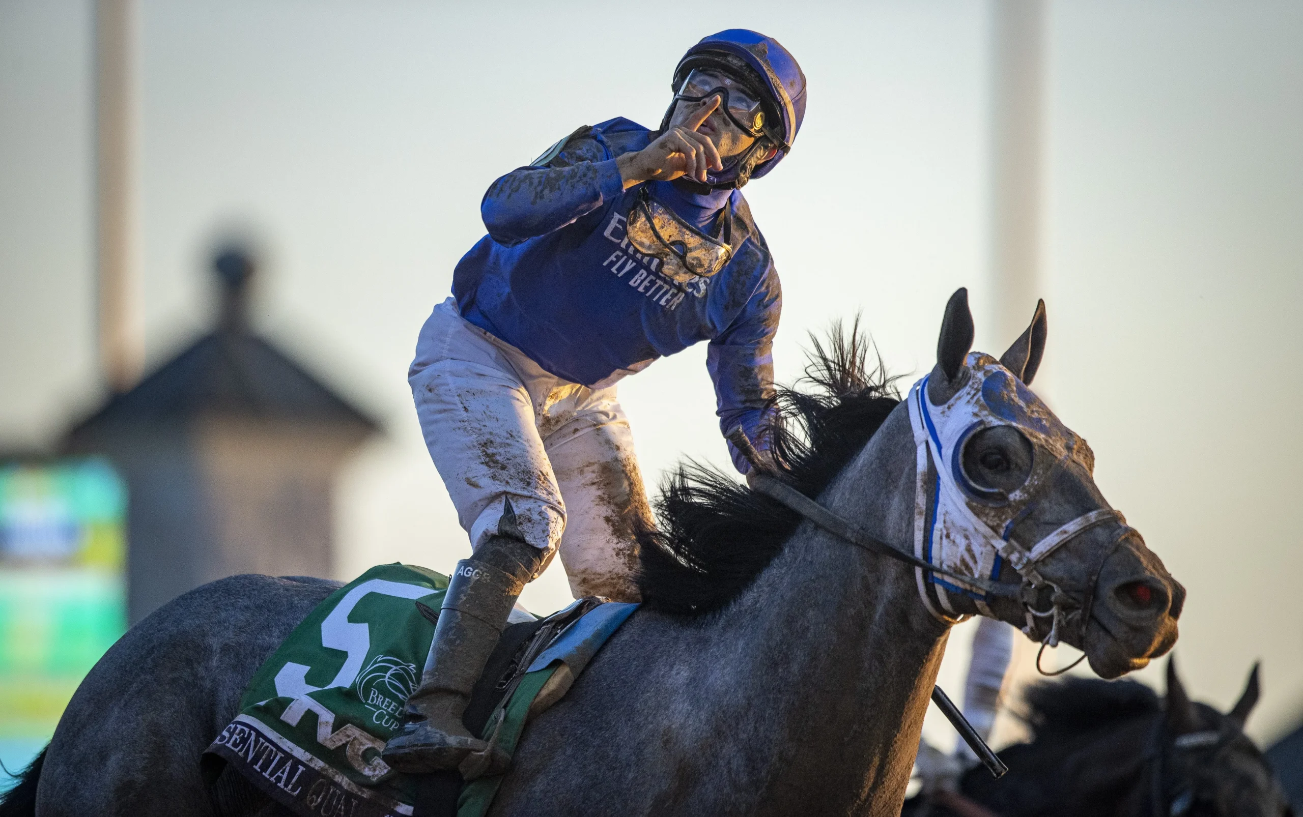 Horse Racing Trifecta