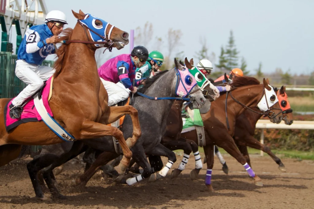 Horse Racing In New Mexico