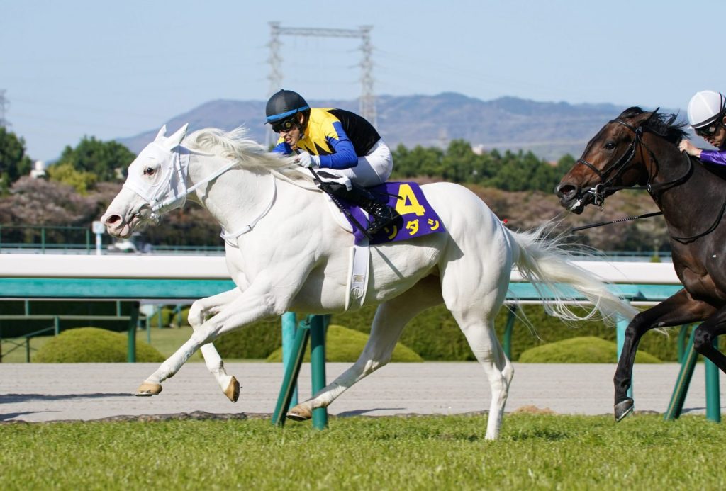 Prompter In Horse Racing