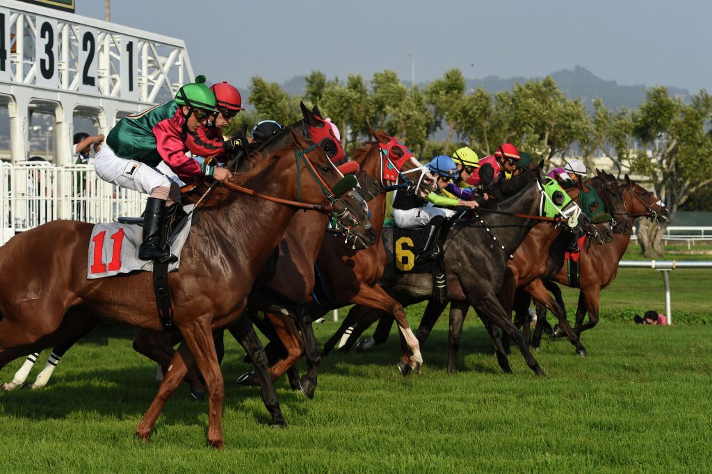 Horse Racing Trifecta