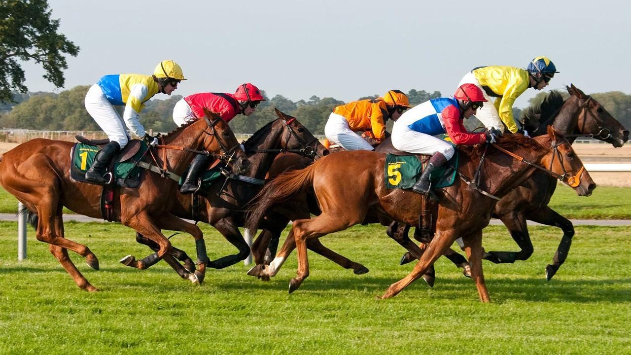 Horse Racing In New Mexico