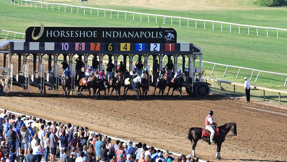 Horse Racing