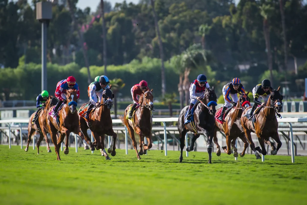 Horse Racing