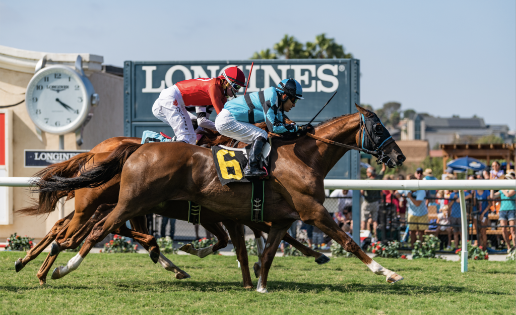 Horse Racing