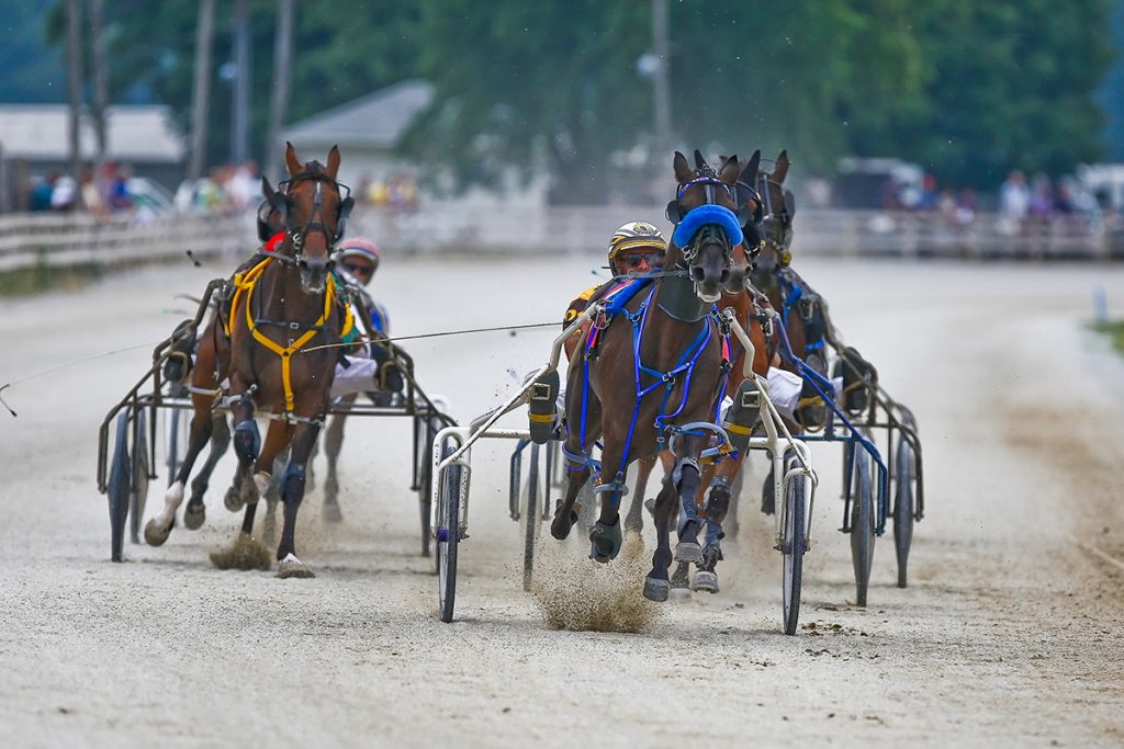 Horse Racing
