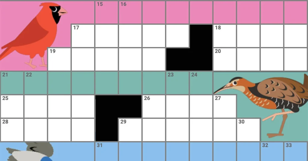 Crossword Puzzle