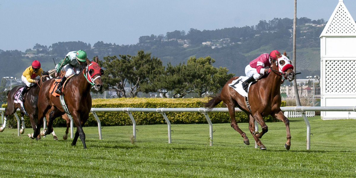 Horse Racing