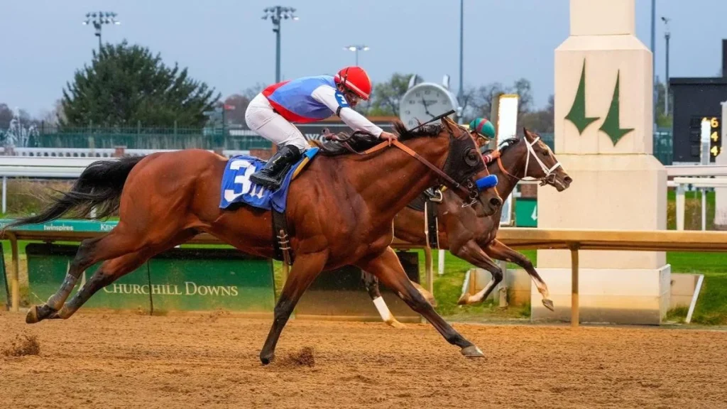 Horse Racing