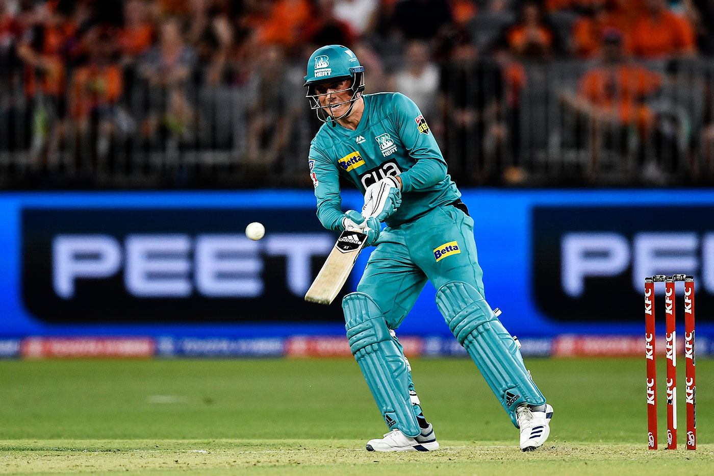 Cricket Player