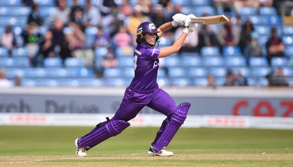 Cricket Player