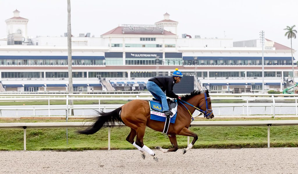 Horse Racing