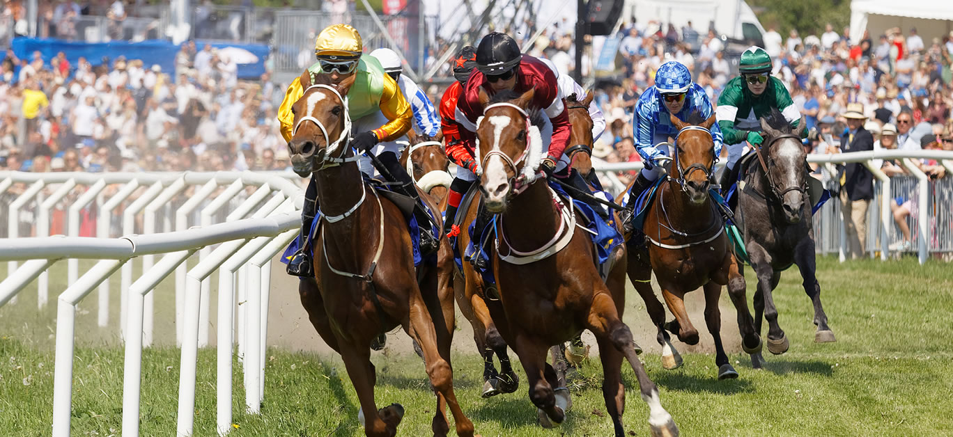 Horse Racing