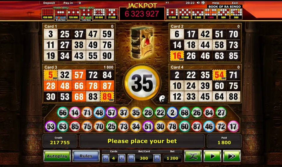 Bingo And Slot
