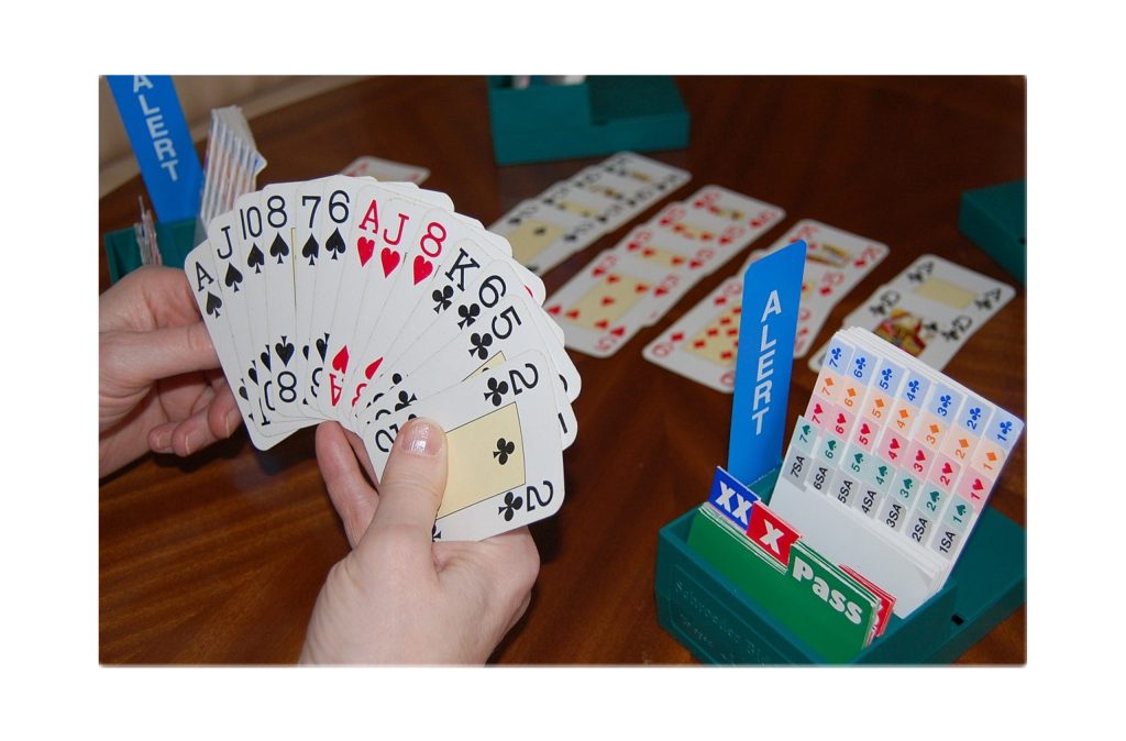 Bridge Card