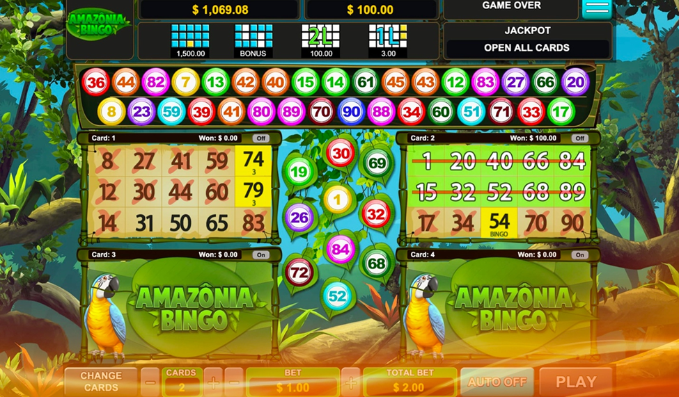 Bingo And Slot