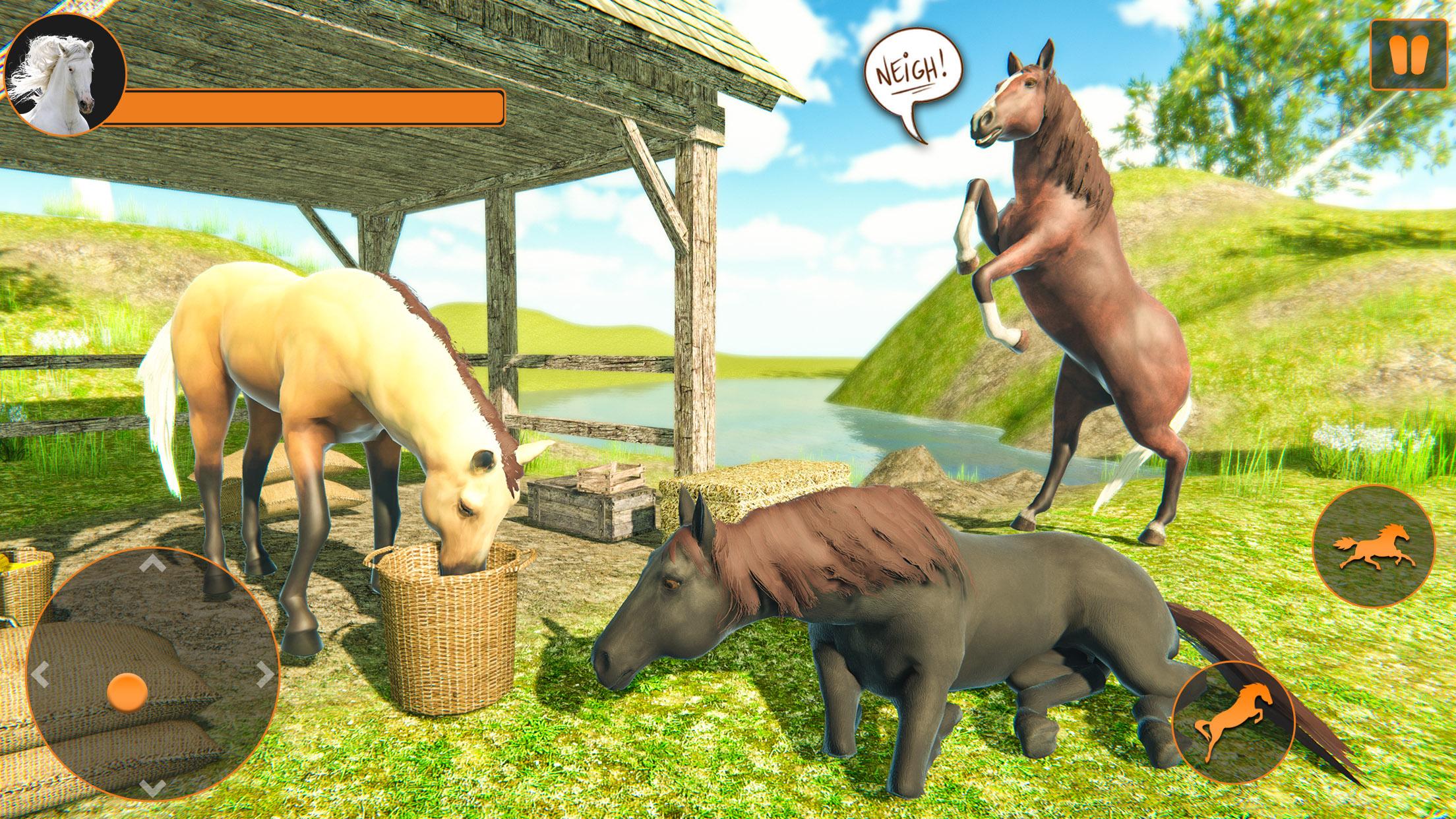 Horse Games