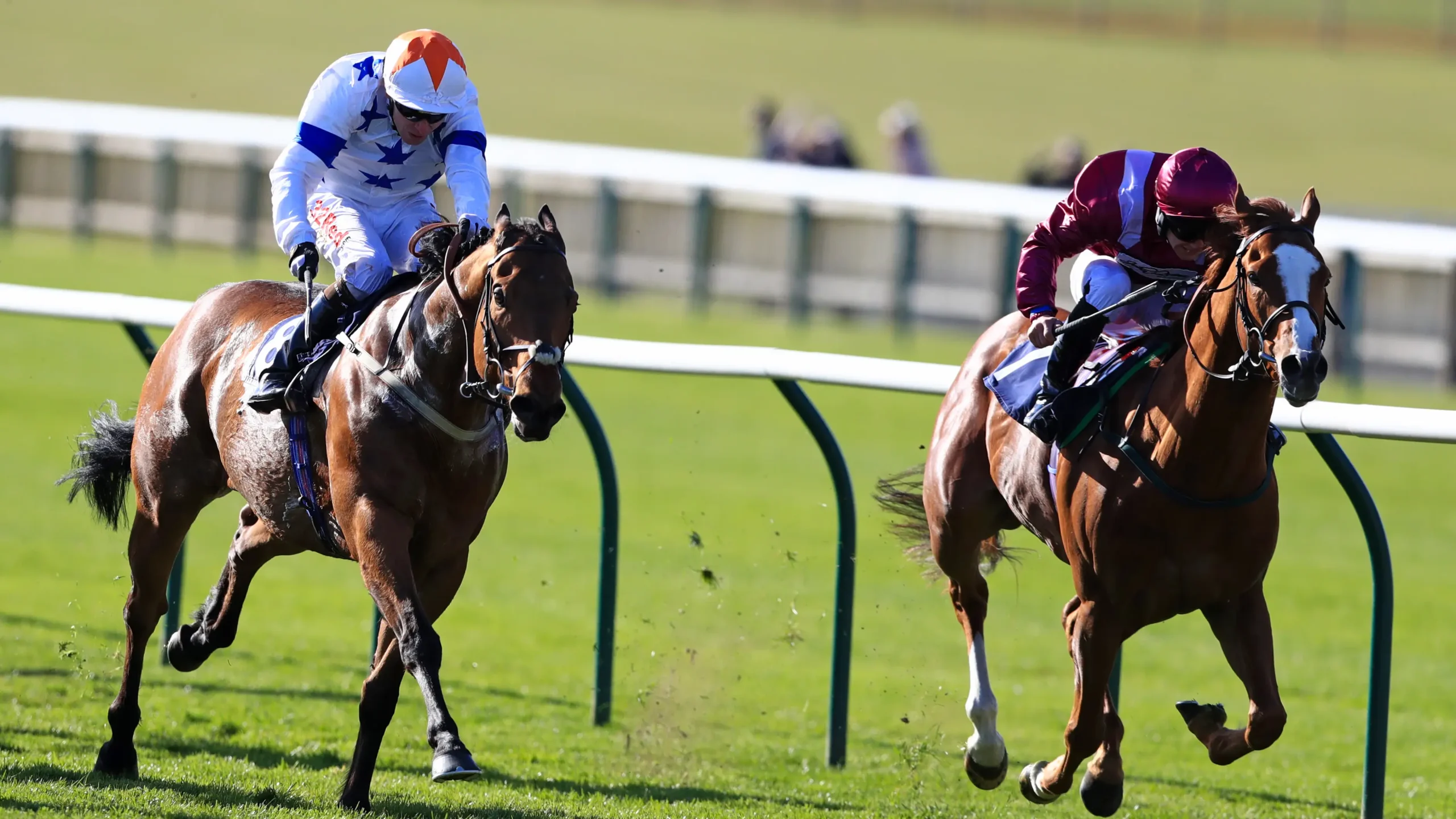 Horse Racing Sites