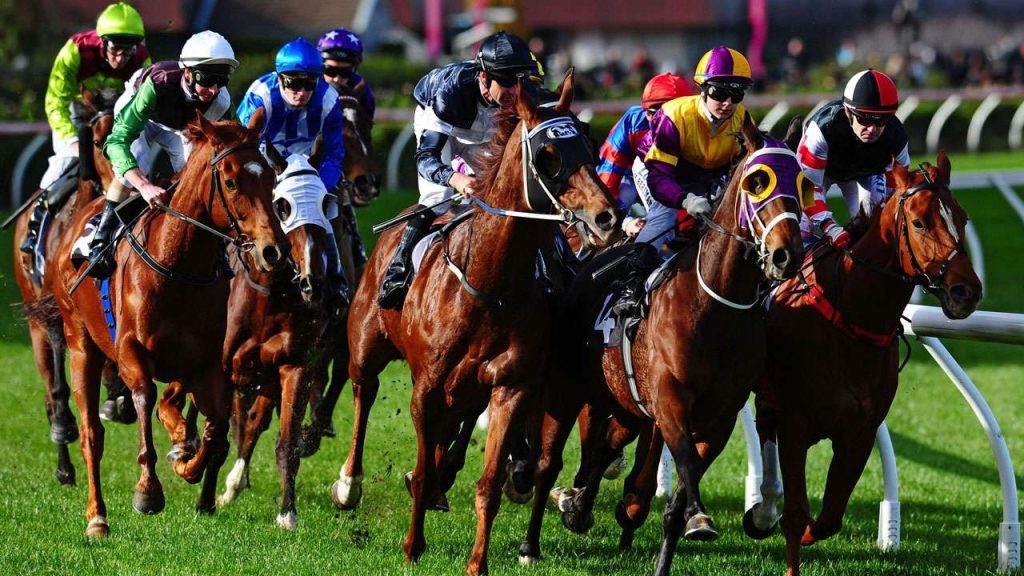 Horse Racing Sites