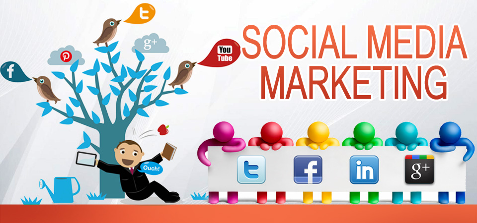 Website Design