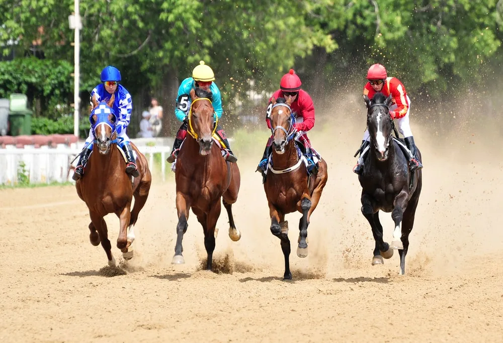 Horse Racing