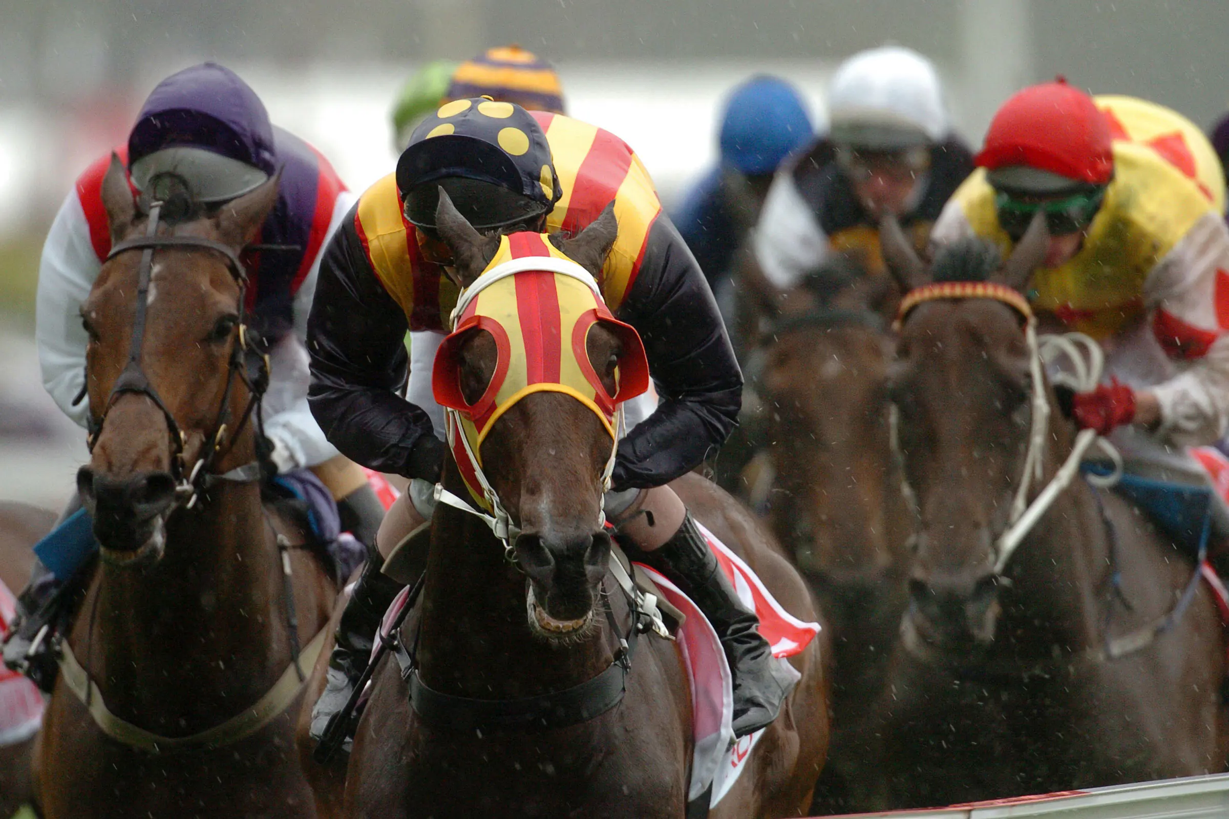 Horse Racing