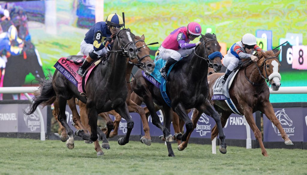 Horse Racing