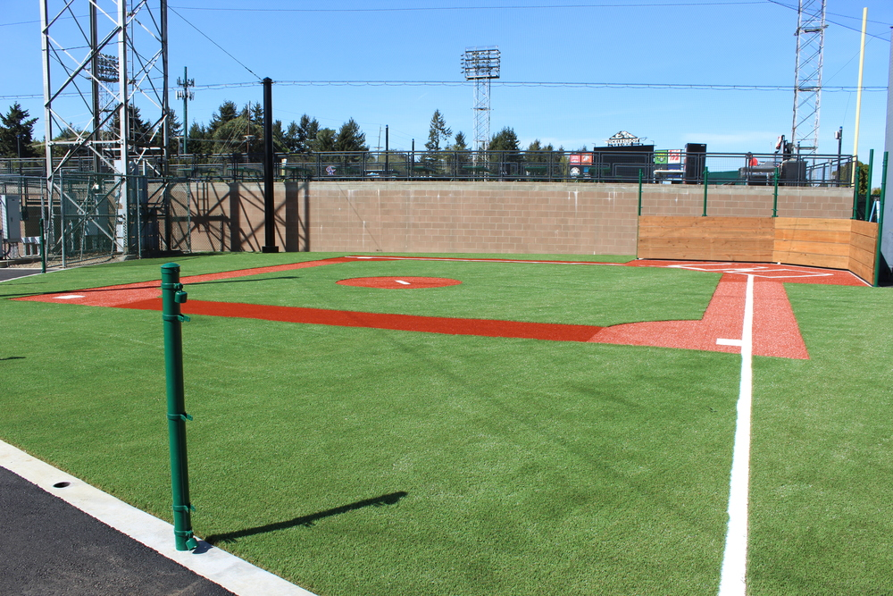 Indoor Wiffle Ball Field